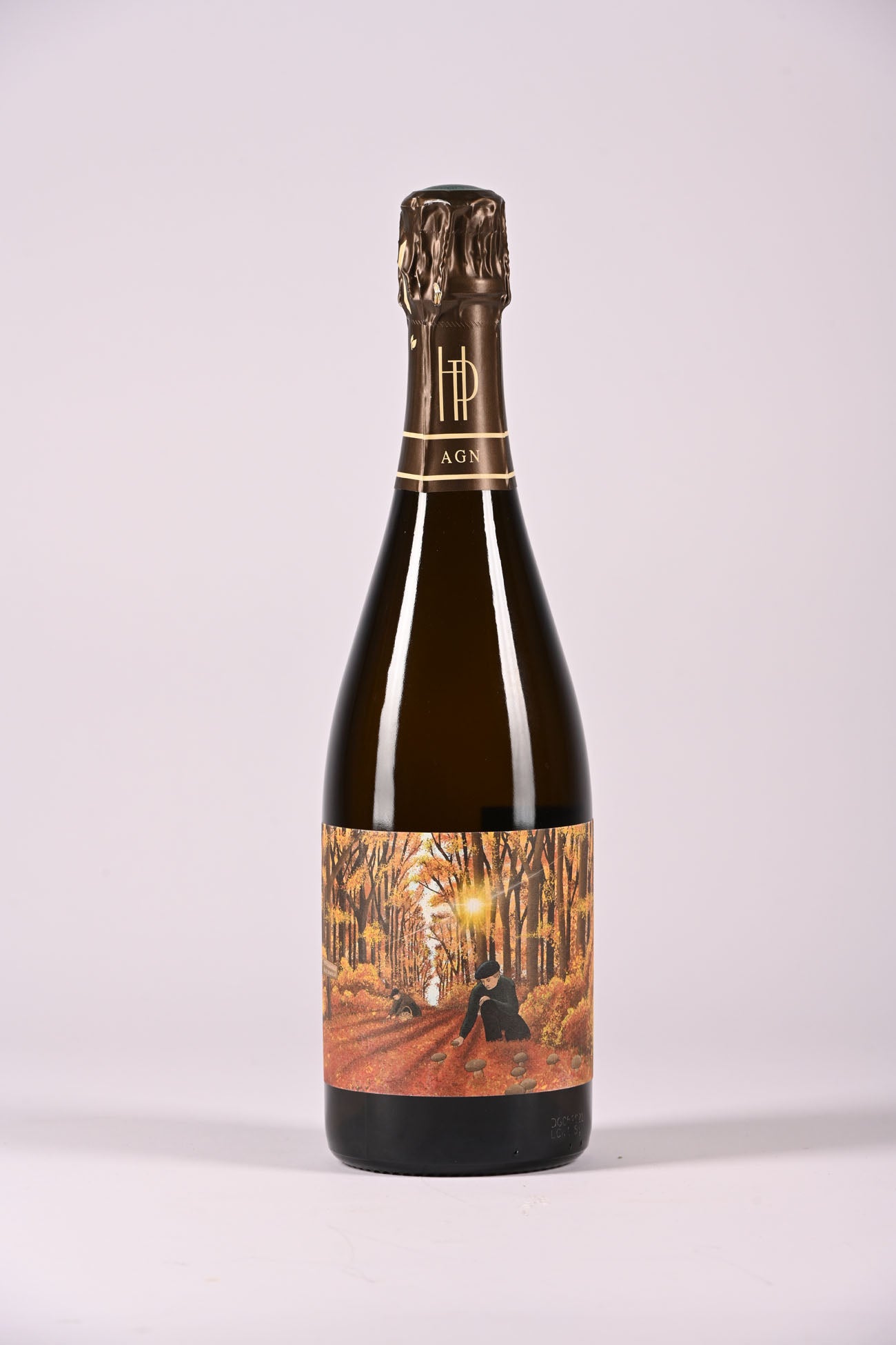 ROMAIN HENIN L'APPEL DE LA FORET 2015