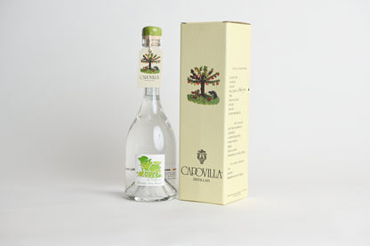 GRAPPA CAPOVILLA-MELE DECIO DI BELFIORE
