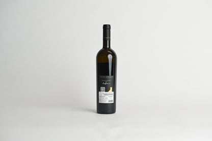 SAUVIGNON `LA FOA` - COLTERENZIO