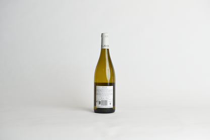 CHABLIS - NICOLAS POTEL