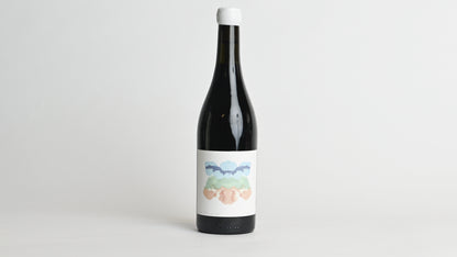 LANGHE DOC ROSSO SYRAH MARCELLO BRUNETTI